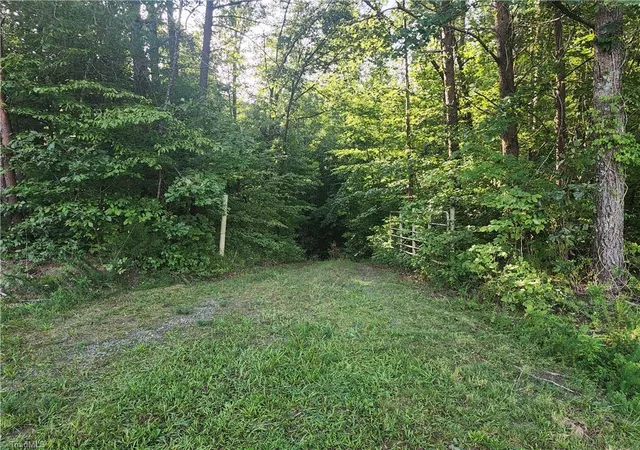 Photo 3 of Land for sale at 0 River Bluff Farms Rd, Tobaccoville, NC 27050 | MLS# 1233211 | Listing updated on 2026-08-24