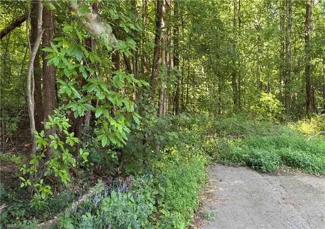 Photo 1 of Land for sale at 00 Sherry Ln, Yadkinville, NC 27055 | MLS# 1233495 | Listing updated on 2026-08-27