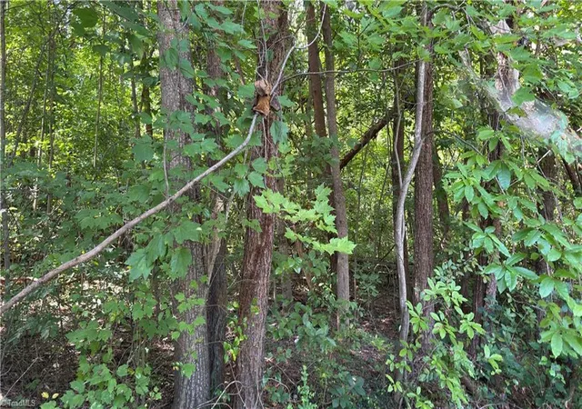 Photo 2 of Land for sale at 00 Sherry Ln, Yadkinville, NC 27055 | MLS# 1233495 | Listing updated on 2026-08-27