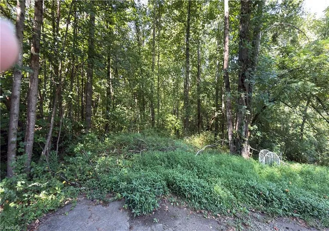 Photo 3 of Land for sale at 00 Sherry Ln, Yadkinville, NC 27055 | MLS# 1233495 | Listing updated on 2026-08-27