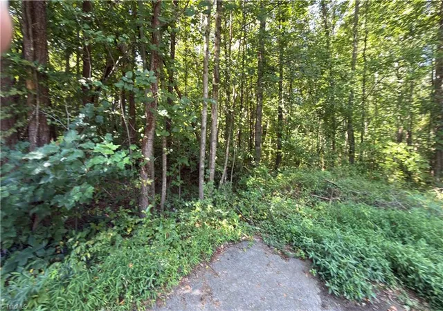 Photo 3 of Land for sale at 00 Sherry Ln, Yadkinville, NC 27055 | MLS# 1233495 | Listing updated on 2026-08-27