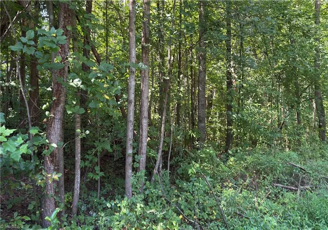 Photo 4 of Land for sale at 00 Sherry Ln, Yadkinville, NC 27055 | MLS# 1233495 | Listing updated on 2026-08-27