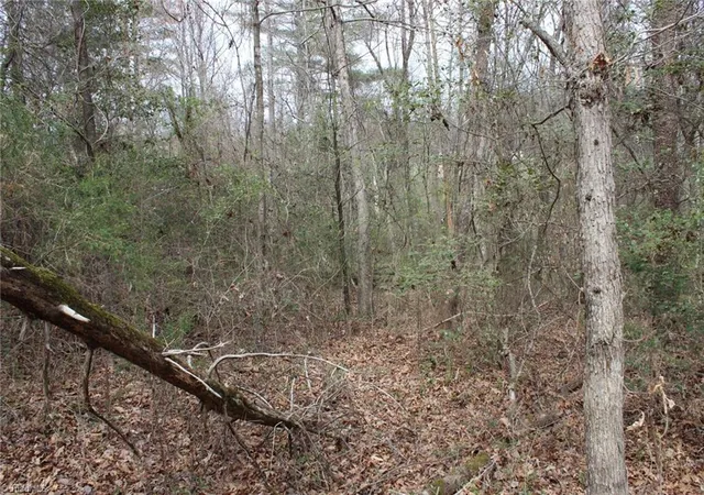 Photo 50 of Sale Pending at 0 Vashti Rd, Hiddenite, NC 28636 | MLS# 1213732 | Listing updated on 2026-04-15