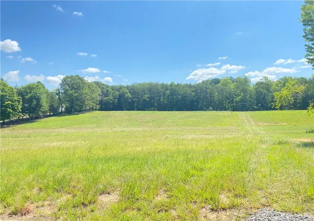 Homes for sale in Eden, NC | 0 Nc Hwy 87, Eden, NC 27288 | MLS# 1227160