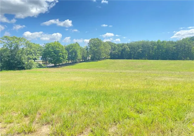 Homes for sale in Eden, NC | 0 Nc Hwy 87, Eden, NC 27288 | MLS# 1227160