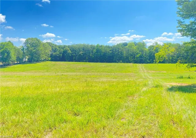 Homes for sale in Eden, NC | 0 Nc Hwy 87, Eden, NC 27288 | MLS# 1227160