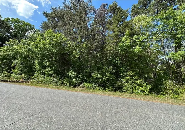 Homes for sale in Randleman, NC | 0 Oakwood Trl, Randleman, NC 27350 | MLS# 1216650