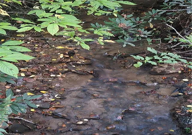 Photo 3 of Land for sale at 00 Orchard Rd, Deep Gap, NC 28618 | MLS# 1224388 | Listing updated on 2026-08-19