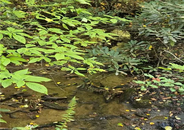 Photo 4 of Land for sale at 00 Orchard Rd, Deep Gap, NC 28618 | MLS# 1224388 | Listing updated on 2026-08-19