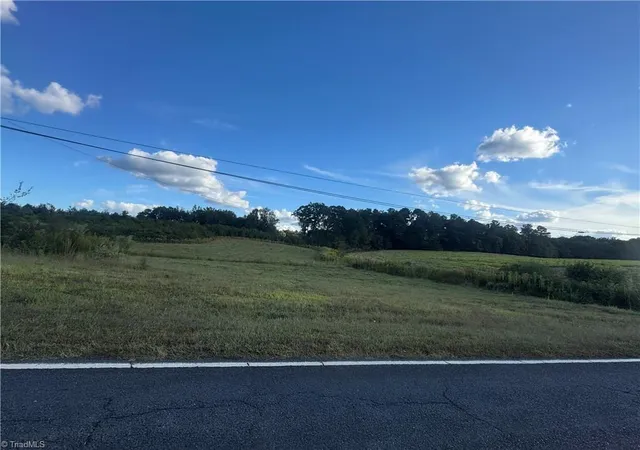 10th image of 000 Alonzo Rd, Oakboro, NC 28129 | MLS# 1200042