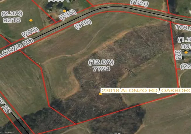 Homes for sale in Oakboro, NC | 000 Alonzo Rd, Oakboro, NC 28129 | MLS# 1200042