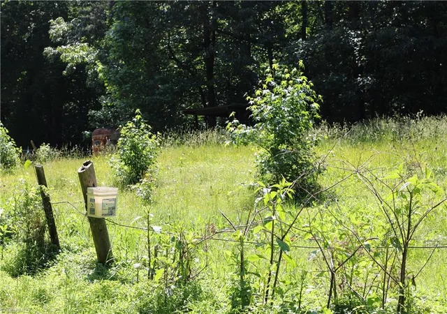 Photo 3 of Land for sale at 7220 East Frk Rd, High Point, NC 27265 | MLS# 1206713 | Listing updated on 2026-08-31