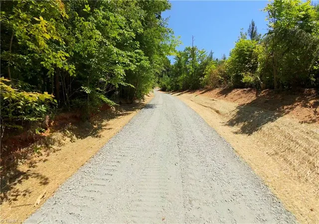 Homes for sale in Pinnacle, NC | 15 Roby Fulk Rd, Pinnacle, NC 27043 | MLS# 1222107