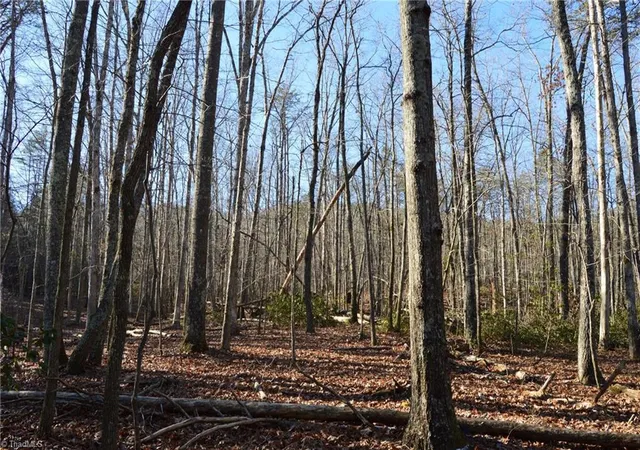 Homes for sale in Danbury, NC | 1010 1372 Hanging Rock Park Rd, Danbury, NC 27016 | MLS# 1218462