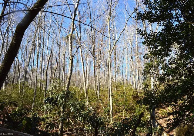 Homes for sale in Danbury, NC | 1010-1372 Hanging Rock Park Rd, Danbury, NC 27016 | MLS# 1218462
