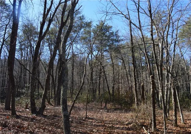 Homes for sale in Danbury, NC | 1010-1372 Hanging Rock Park Rd, Danbury, NC 27016 | MLS# 1218462