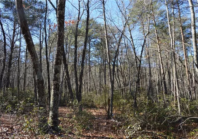 Homes for sale in Danbury, NC | 1010-1372 Hanging Rock Park Rd, Danbury, NC 27016 | MLS# 1218462