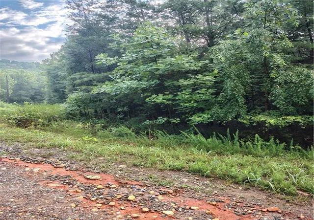 Photo 1 of Land for sale at 00 Moonview, Cana, VA 24317 | MLS# 1227599 | Listing updated on 2026-07-23