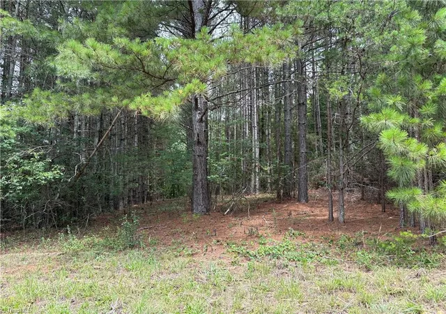 2nd image of 207 Cockerham Rd, Elkin, NC 28621 | MLS# 1230774