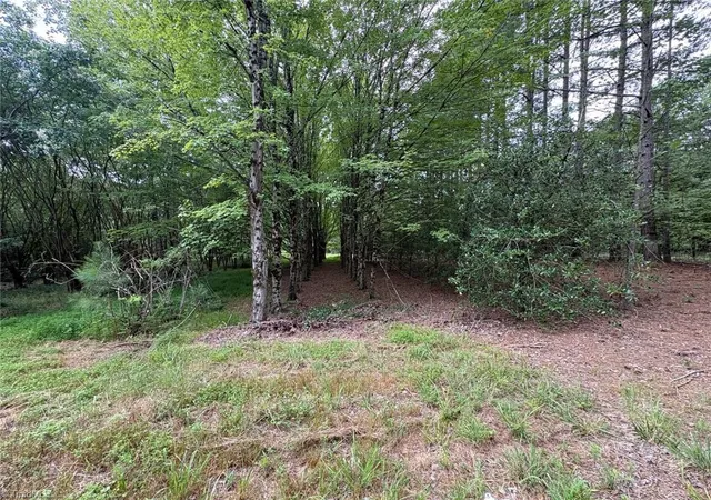 47th image of 207 Cockerham Rd, Elkin, NC 28621 | MLS# 1230774