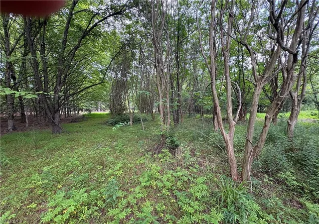 4th image of 207 Cockerham Rd, Elkin, NC 28621 | MLS# 1230774
