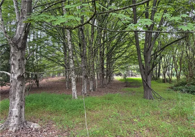 5th image of 207 Cockerham Rd, Elkin, NC 28621 | MLS# 1230774