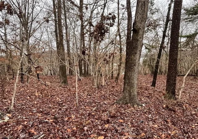 Photo 1 of Sale Pending at 0 Church Rd #551, New London, NC 28127 | MLS# 1173016 | Listing updated on 2025-04-15
