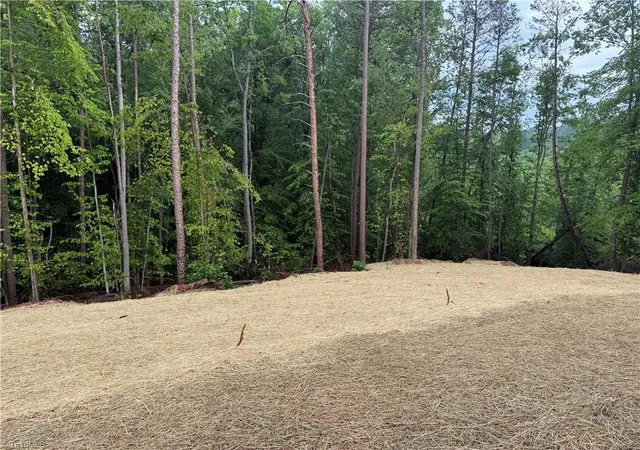 Homes for sale in Linwood, NC | 2684 Sowers Rd, Linwood, NC 27299 | MLS# 1225872