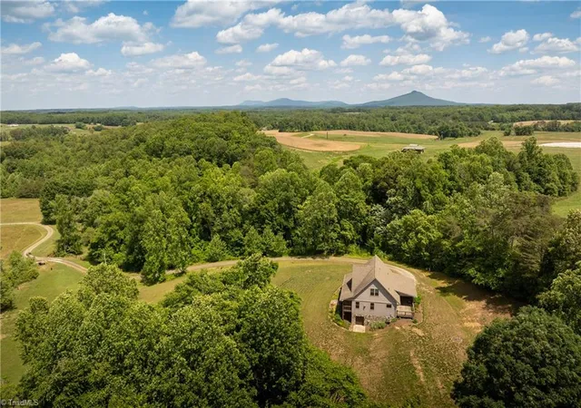 50th image of 186 Pipers Creek Trl, Ararat, NC 27007 | MLS# 1223255