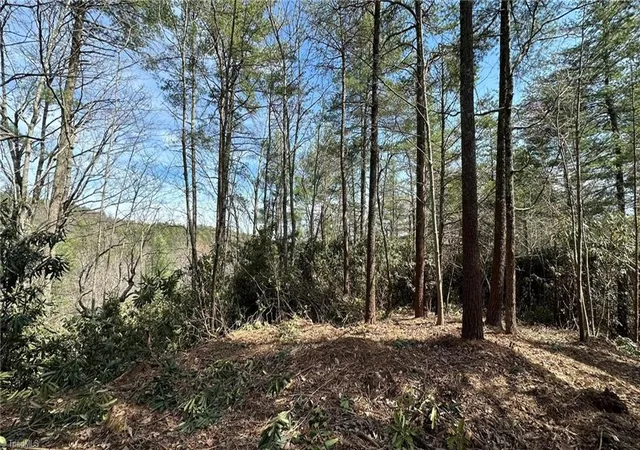 Photo 1 of Land for sale at 000 White Rock Rd, Lenoir, NC 28645 | MLS# 1216126 | Listing updated on 2026-08-24