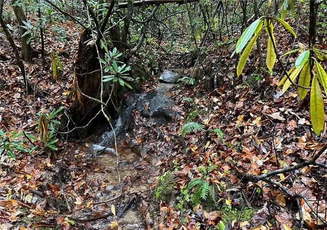 Photo 4 of Land for sale at 000 White Rock Rd, Lenoir, NC 28645 | MLS# 1216126 | Listing updated on 2026-08-24