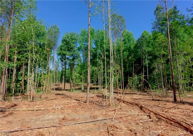 Photo 3 of Sale Pending at 0 Carson Rd, Cleveland, NC 27013 | MLS# 1233148 | Listing updated on 2026-09-02