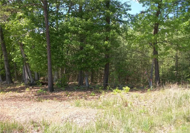 2nd image of 00 Floyd Rd, Eden, NC 27288 | MLS# 1218135