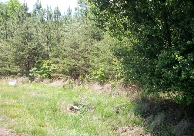 3rd image of 00 Floyd Rd, Eden, NC 27288 | MLS# 1218135