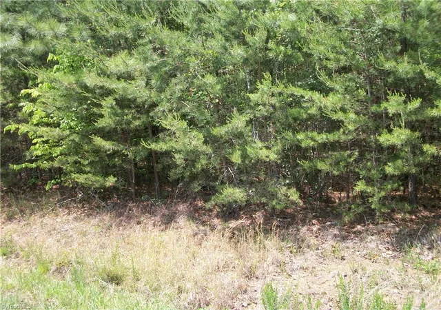 4th image of 00 Floyd Rd, Eden, NC 27288 | MLS# 1218135