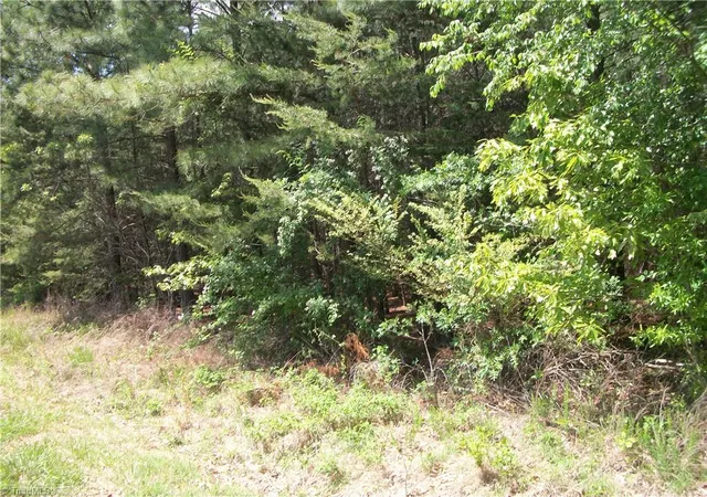 5th image of 00 Floyd Rd, Eden, NC 27288 | MLS# 1218135