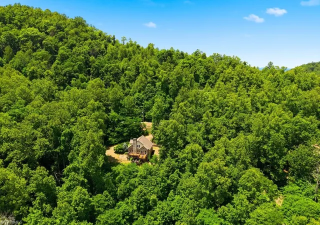50th image of 255 Treadway Ridge Rd, Moravian Falls, NC 28654 | MLS# 1224431
