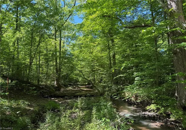 Photo 3 of Sale Pending at 00 Sink Rd, Lexington, NC 27295 | MLS# 1219534 | Listing updated on 2026-08-08