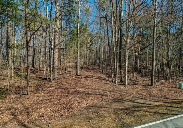Homes for sale in Blanch, NC | 00 High Rock School Rd, Blanch, NC 27212 | MLS# 1211106
