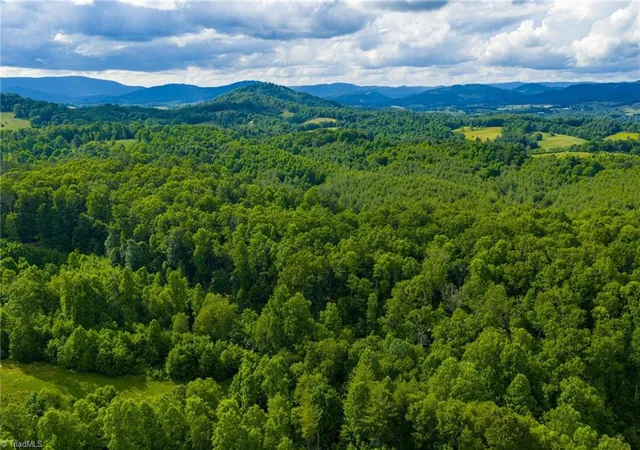 Photo 1 of Land for sale at Tbd Phipps Dairy Rd, Piney Creek, NC 28663 | MLS# 1191349 | Listing updated on 2026-08-31