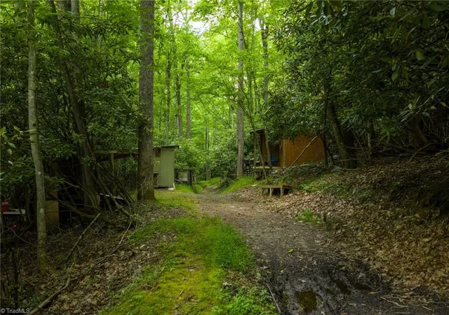 Photo 35 of Land for sale at Tbd Phipps Dairy Rd, Piney Creek, NC 28663 | MLS# 1191349 | Listing updated on 2026-08-31
