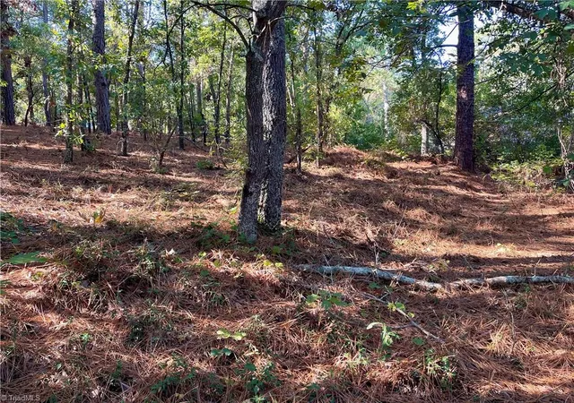 3rd image of 0 Hylan Ave, Hamlet, NC 28345 | MLS# 1226293