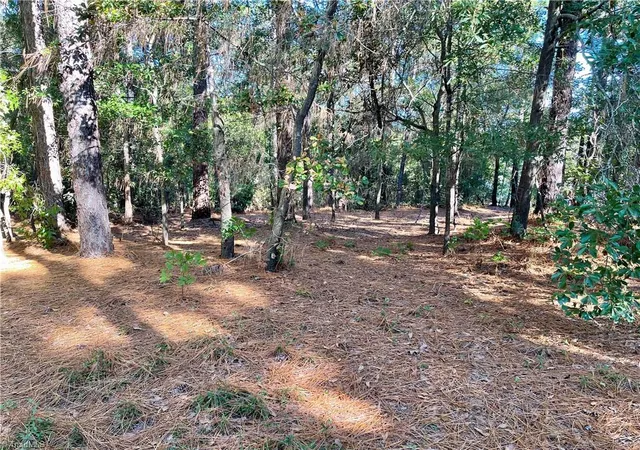 4th image of 0 Hylan Ave, Hamlet, NC 28345 | MLS# 1226293