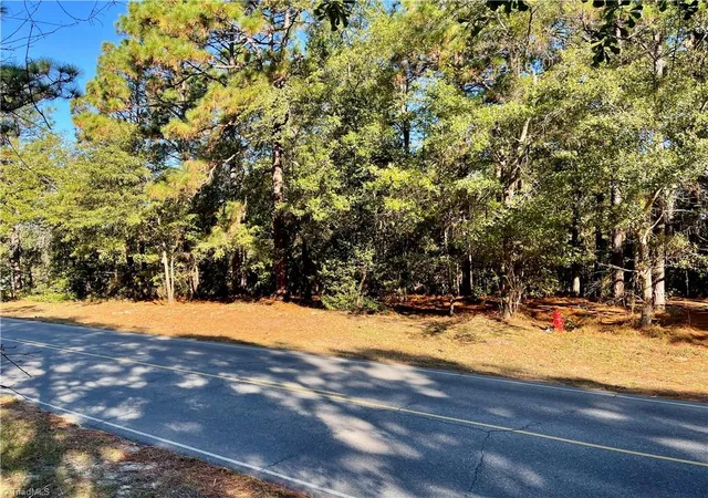 5th image of 0 Hylan Ave, Hamlet, NC 28345 | MLS# 1226293