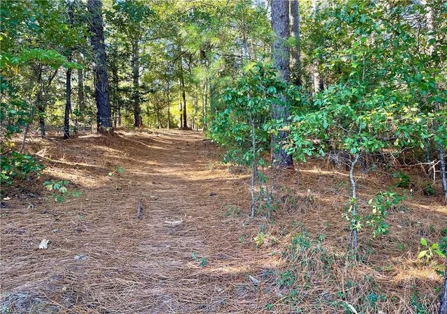 9th image of 0 Hylan Ave, Hamlet, NC 28345 | MLS# 1226293