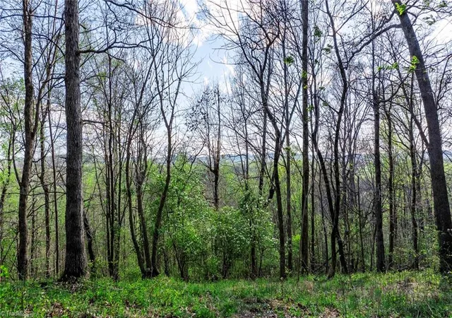 Photo 1 of Land for sale at 00 Somers Rd, North Wilkesboro, NC 28689 | MLS# 1138460 | Listing updated on 2025-09-24