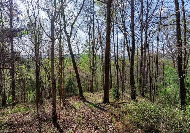 Photo 2 of Land for sale at 00 Somers Rd, North Wilkesboro, NC 28689 | MLS# 1138460 | Listing updated on 2025-09-24