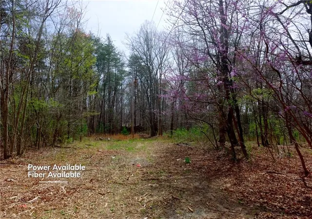 Photo 3 of Land for sale at 0 Johnson Farm Rd #1, Pilot Mountain, NC 27041 | MLS# 1228298 | Listing updated on 2026-07-20