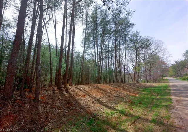 Photo 4 of Land for sale at 0 Johnson Farm Rd #1, Pilot Mountain, NC 27041 | MLS# 1228298 | Listing updated on 2026-10-08