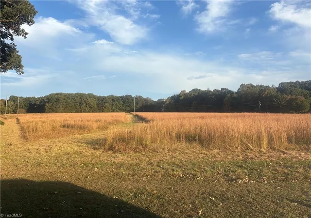 Single family home for sale at 3075 Benny Lineberry Rd, Climax, NC 27233 | MLS# 1200528